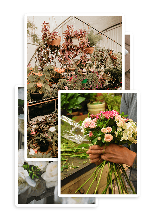 Hubungi Daniah Florist - Saatnya Toko Bunga anda Menjadi Distributor Bunga Nasional
